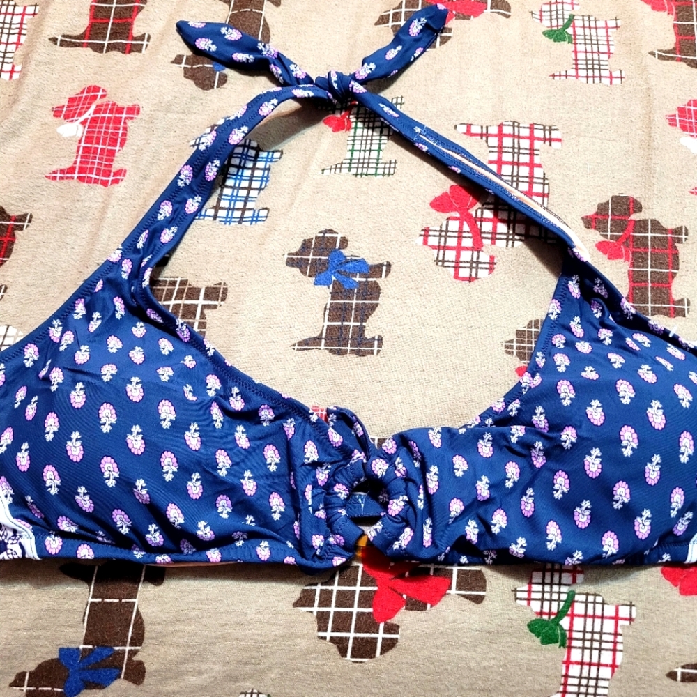 Jcrew plus size bikini top in 2x
